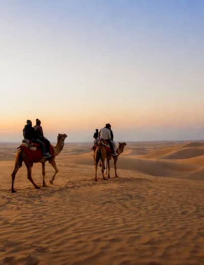 Jaisalmer landscape